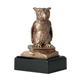 Figurka odlewana szkoła - sowa - nauka RTY630/BR