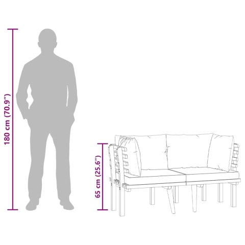 2-osobowa sofa ogrodowa z poduszkami, lite drewno akacjowe