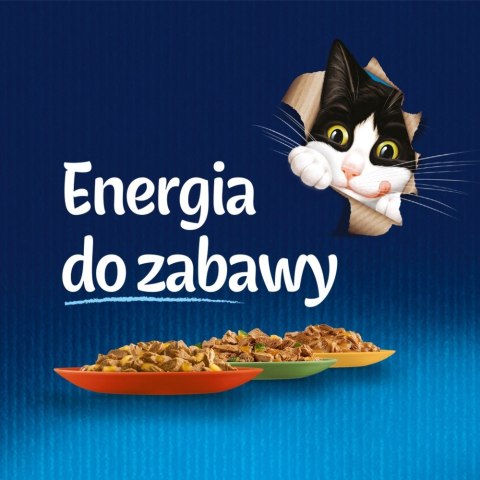 PURINA FELIX FANTASTIC Mix Wiejskie smaki 120x85g