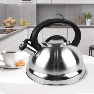 Czajnik nieelektryczny 3,0L MR-1313 MAESTRO