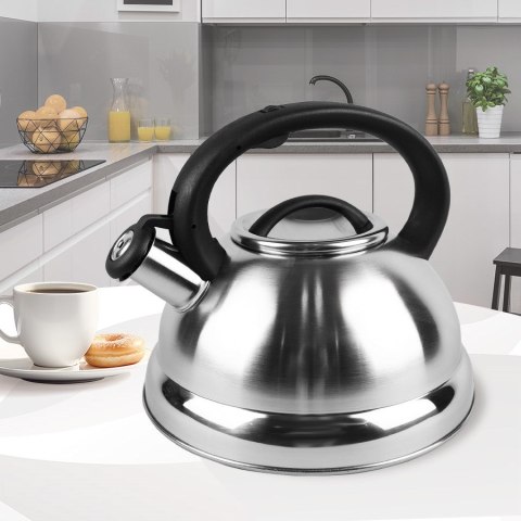 Czajnik nieelektryczny 3,0L MR-1313 MAESTRO
