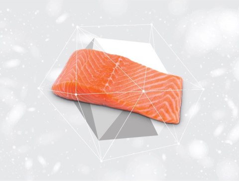 Nature's Protection Red Coat Grain Free Salmon & Krill Adult Small Breeds 1,5kg