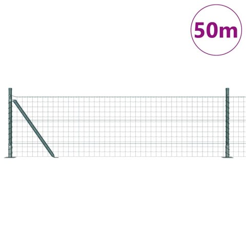 Ogrodzenie z słupkiem Zielony 0,6 x 50 m Stal i PVC