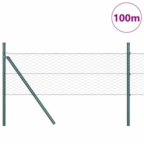Słupek ogrodzeniowy. Zielony 100 x 0,5 m (siatka 36 mm)