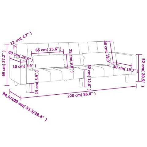 2-osobowa kanapa, 2 poduszki, niebieska, aksamitna