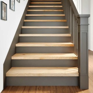 Stopnie schodowe, 20 szt. surowe 100x30x2cm lite drewno dębowe