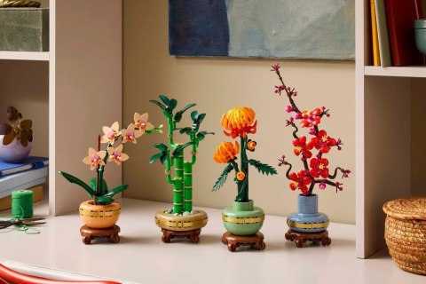LEGO The Botanical Collection 10344 - Dracena sandera