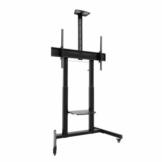 Stojak TV na podłogę z kółkami TooQ FS20406HM-B 60" 100" 120 kg 130 Kg (Odnowione A)