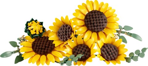LEGO Botanicals 11502