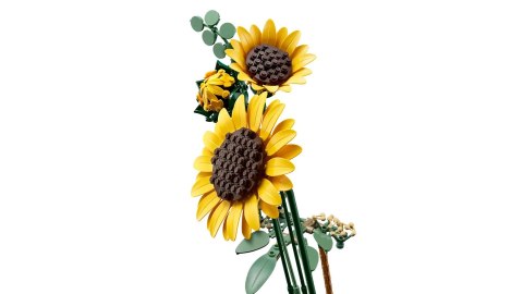 LEGO Botanicals 11502