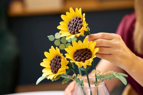 LEGO Botanicals 11502