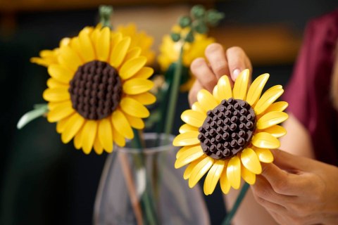LEGO Botanicals 11502