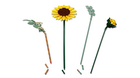 LEGO Botanicals 11502