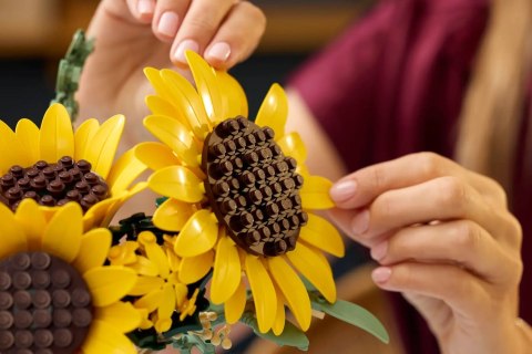 LEGO Botanicals 11502