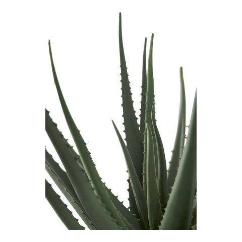 Sztuczna roślina Aloes 51cm