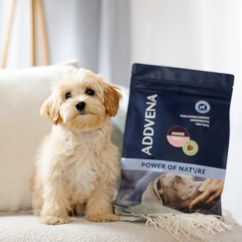 ADDVENA POWER OF NATURE dla szczeniąt małych ras 2,5kg
