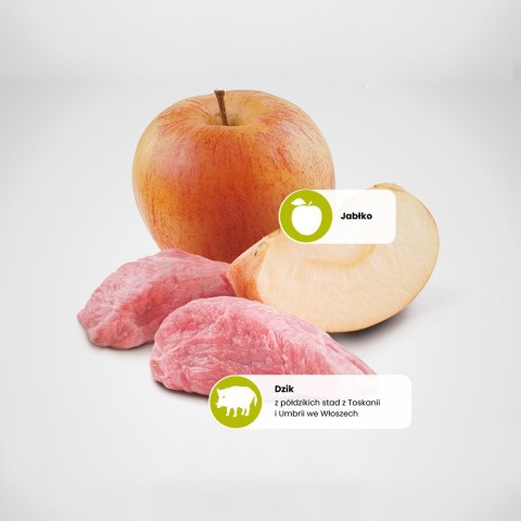 FARMINA N&D Prime Wild Boar & Apple Adult Medium & Maxi - sucha karma dla psa - 12kg