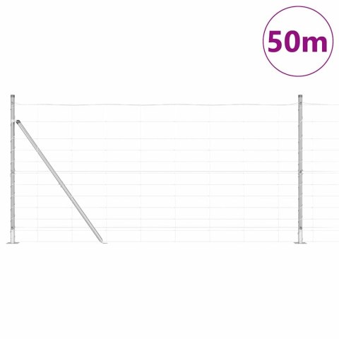 Słupek ogrodzeniowy. Galwanizowany 50 x 1,2 m Stal