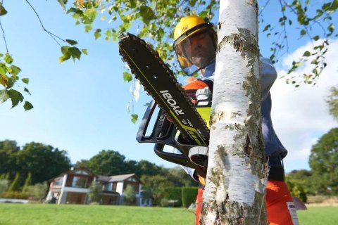 Pilarka łańcuchowa 18V ONE+ OCS1830 RYOBI
