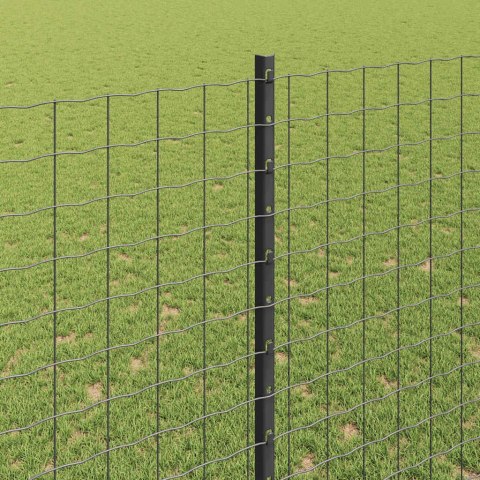 Słupek ogrodzeniowy. 44 pcs Szary 200 cm Stal