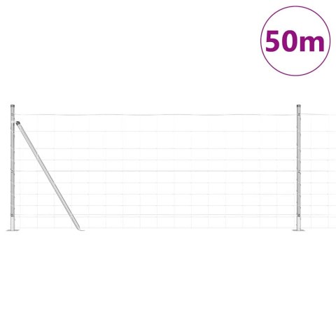 Słupek ogrodzeniowy. Galwanizowany 50 x 1 m Stal