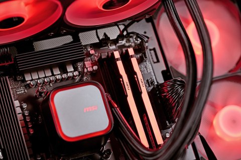 Actina SILENT 245KF/16GB/1TB/RTX5060/750W
