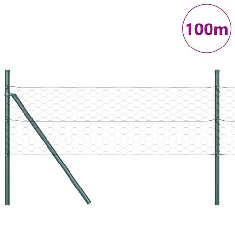 Słupek ogrodzeniowy. Zielony 100 x 0,4 m (siatka 50 mm)