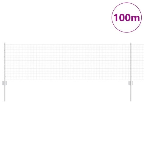 Ogrodzenie z słupkiem Srebrny 0,6 x 100 m Stal