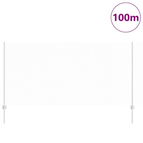 Ogrodzenie z słupkiem Srebrny 1,2 x 100 m Stal