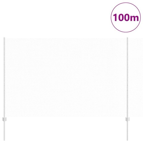 Ogrodzenie z słupkiem Srebrny 1,6 x 100 m Stal