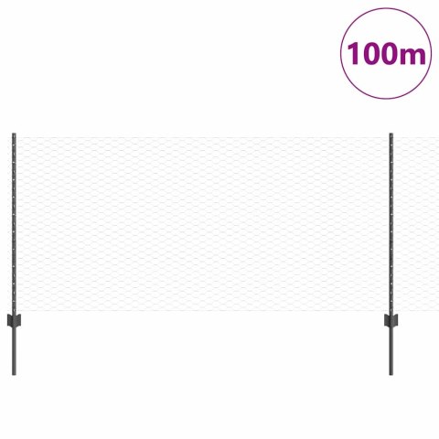 Ogrodzenie z słupkiem Szary 1 x 100 m Stal i PVC