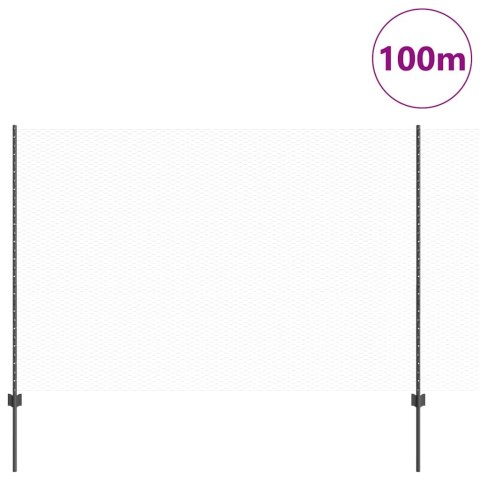 Ogrodzenie z słupkiem Szary 1,6 x 100 m Stal i PVC