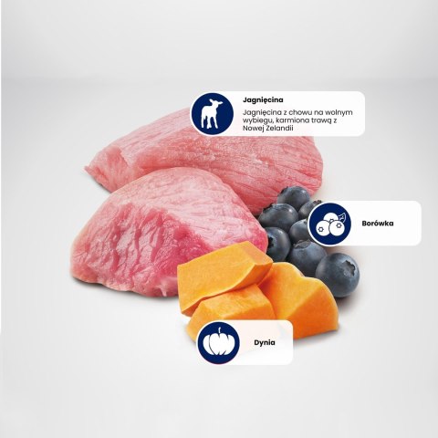 FARMINA N&D Pumpkin Lamb & Blueberry Adult Mini - sucha karma dla psa - 7 kg