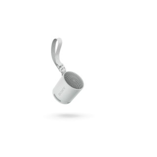 Głośnik Bluetooth Przenośny Sony SRSXB100H.CE7 Szary