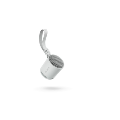 Głośnik Bluetooth Przenośny Sony SRSXB100H.CE7 Szary