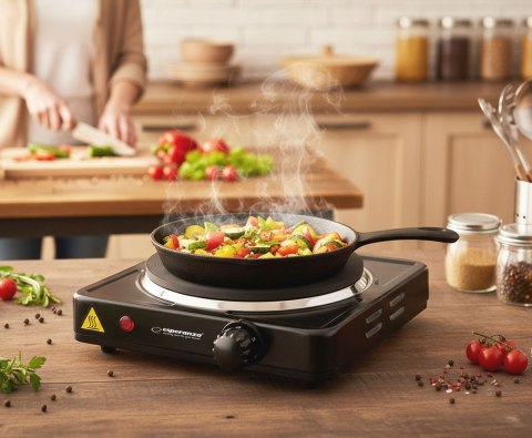 Kuchenka Esperanza St. Helens EKH003K (1 pole grzejne; 1000W)
