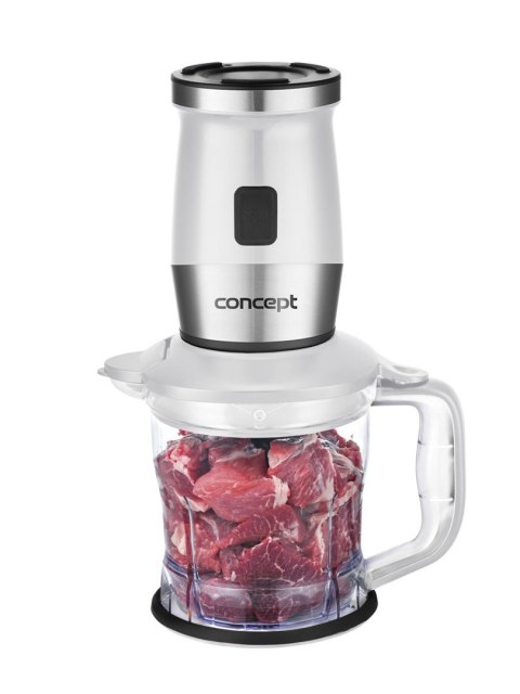 Blender smoothie SM3391 CONCEPT