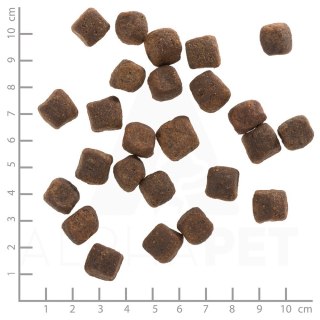 WOLFSBLUT Dark Forest fierce/sweet potatos 12,5kg (OUTLET)