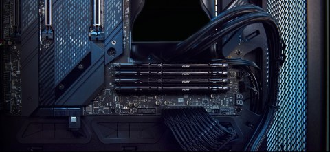 KINGSTON DDR5 32GB 6000MT/s CL30 DIMM FURY Beast Black EXPO