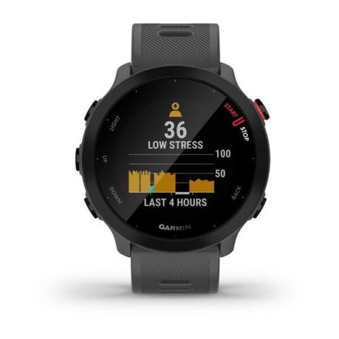 Zegarek Garmin Forerunner 55, 42mm MIP Monterra Grey