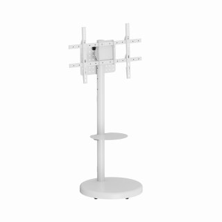 GEMBIRD STOJAK NA TELEWIZOR 37" - 86", BIAŁY