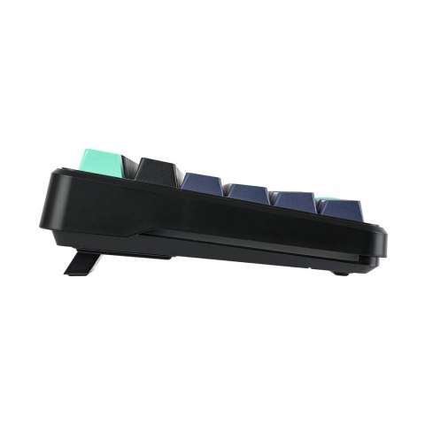 Klawiatura gasket F87 Pro Dark Blue + Black + Cyan GrayWoodV4 switch RGB AULA