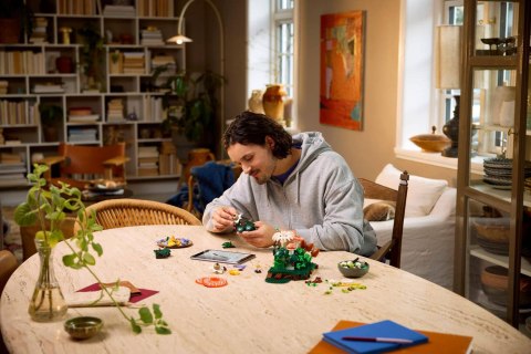 LEGO Botanical Collection 11505 - Grzyby leśne