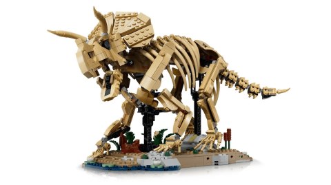LEGO Jurassic World 77985 - Szkielety dinozaurów: Triceratops