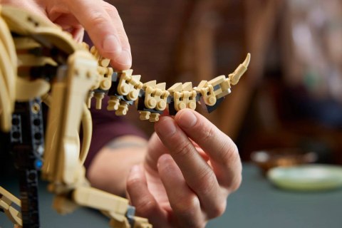 LEGO Jurassic World 77985 - Szkielety dinozaurów: Triceratops