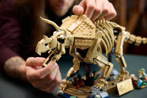 LEGO Jurassic World 77985 - Szkielety dinozaurów: Triceratops