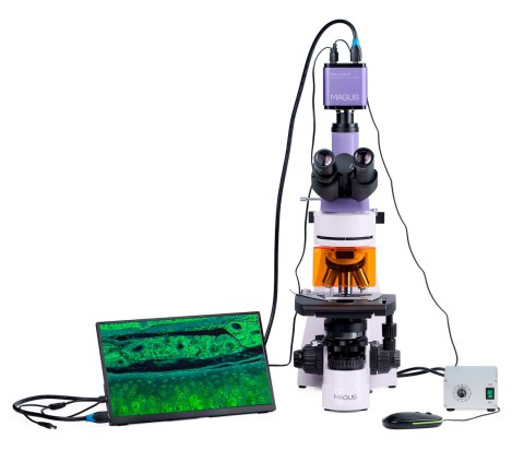 Mikroskop fluorescencyjny cyfrowy MAGUS Lum D400L LCD