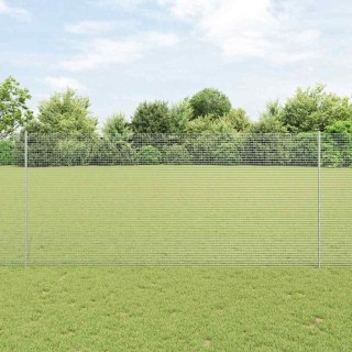 Ogrodzenie z drutu spawanego z słupkiem 50 x 1,4 m (S x W)